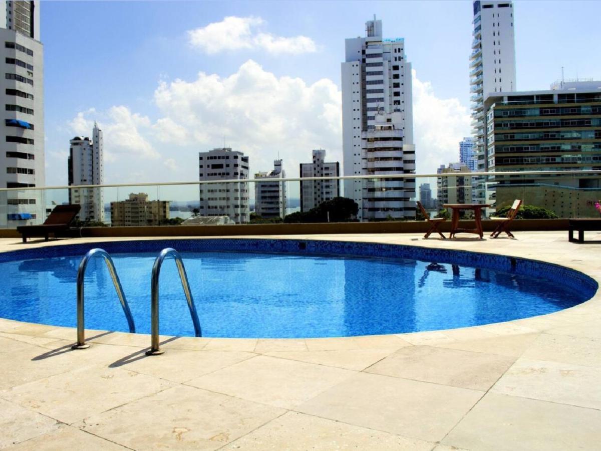 Palmetto Eliptic - Seaview